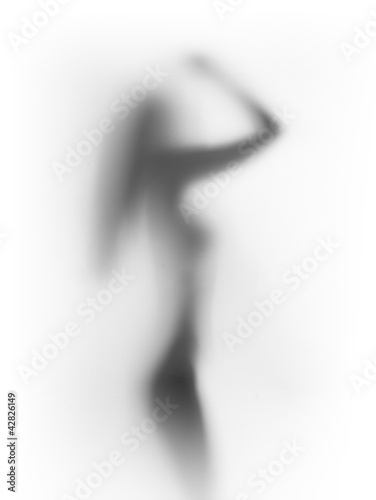 Fototapeta Sexy woman body silhouette, white background