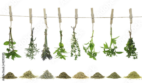 Fresh herbs hanging on a rope