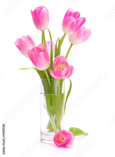 rozowy-tulipanu-bukiet-w-wazie-odizolowywajacej-na-bielu-plecy