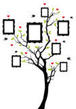 family tree with frames  vector