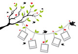 tree with photo frames and birds  vector