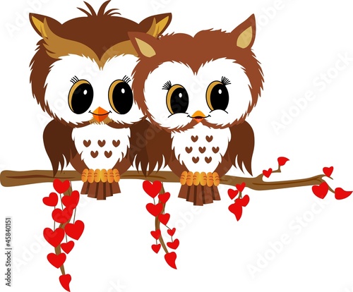 Fototapeta Valentine owls