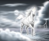 unicorno nel temporale