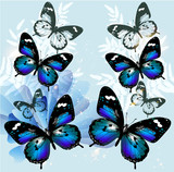 flourish background with butterflies