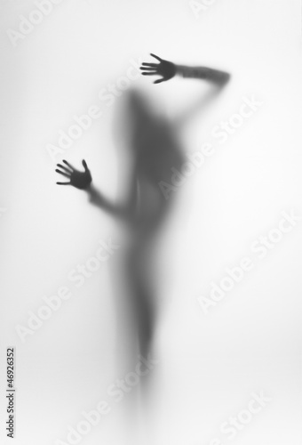 Fototapeta diffuse silhouette of a beautiful woman, plams