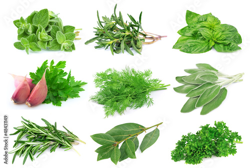 Set from green spice