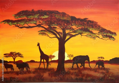 Fototapeta Sonnenuntergang in Afrika