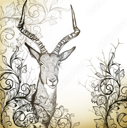 Fototapeta Vintage background with hand drawn antelope