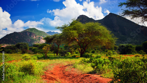 Lacobel Red ground road, bush with savanna. Tsavo West, Kenya, Africa