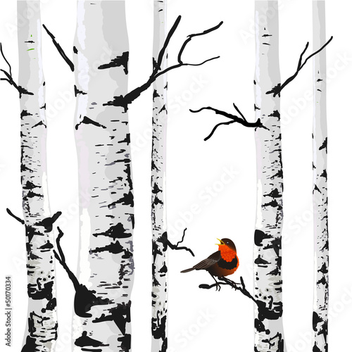  Bird of birches, vector drawing with editable elements.