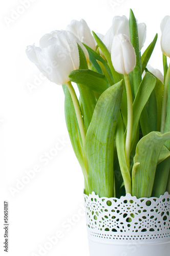 bukiet-bialych-tulipanow