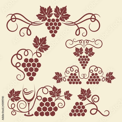  Decorative grape vine elements for design