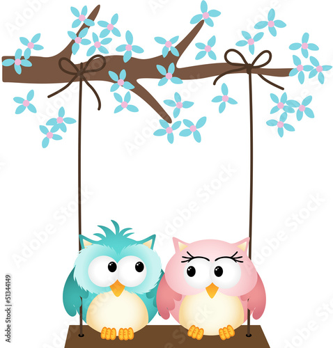 Fototapeta Two owls in love on a swing