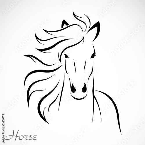 Fototapeta Vector image of an horse on white background