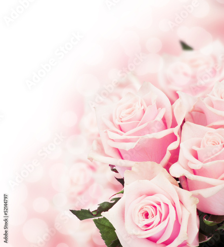 Lacobel Pink roses