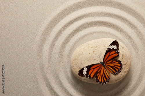 Fototapeta Zen rock with butterfly