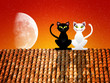 Cats on the roof 