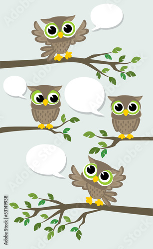Lacobel cute owls meeting