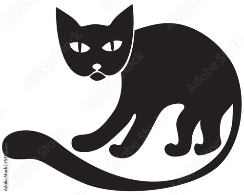 Lacobel Black cat