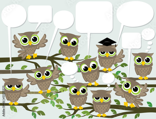  social network cute birds
