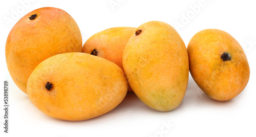 Fresh Mangoes