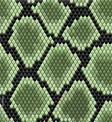 Fototapeta Green seamless snake skin pattern