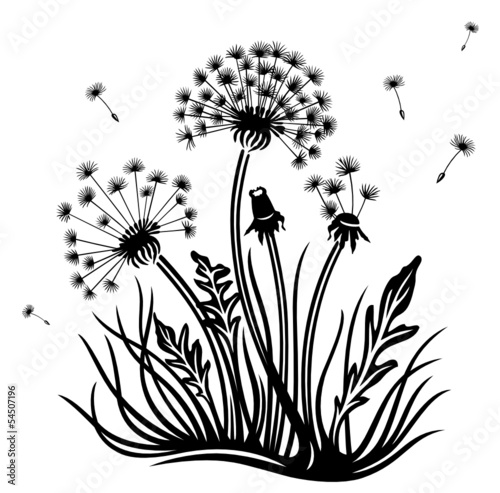 Leinwanddruck Bilder Serie 14093783 Seite 20