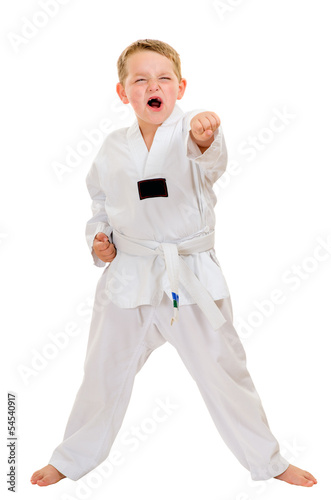 Child practicing his taekwondo moves isolated on white © Robert Hainer