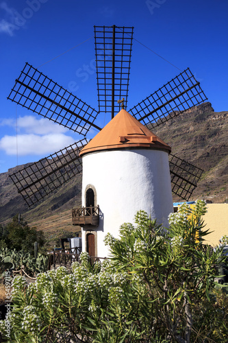 Fototapeta Windmühle auf Gran Canaria