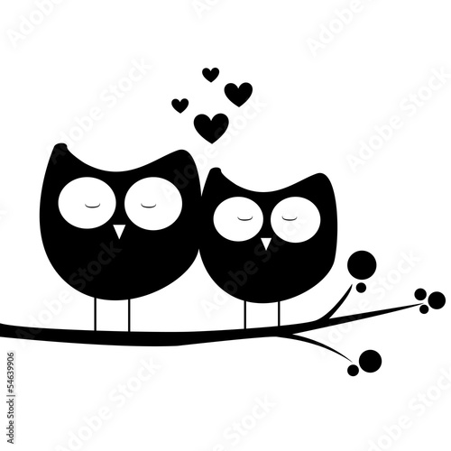 Fototapeta owl in love