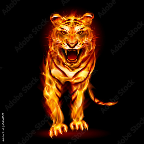Lacobel Fire tiger