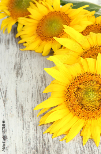  Sunflowers on wooden background