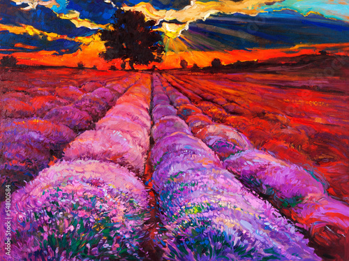 Fototapeta Lavender fields