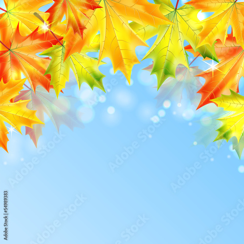 autumn-klonowe-listowie-na-niebieskim-tle-musujace-jesien-tla