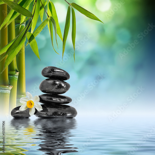Fototapeta Stones and Bamboo on the water with narcissus flower