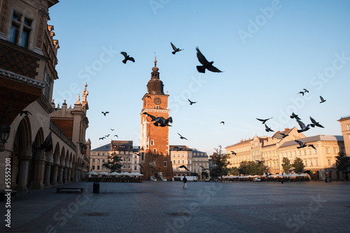 Fototapeta Pigeons in the morning Krakow