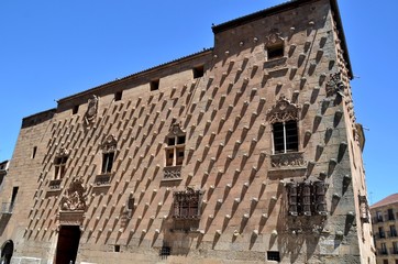 Casa de las Conchas. Salamanca. 2013.