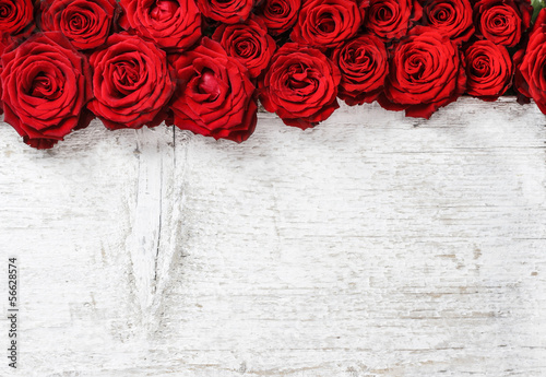  Stunning roses on wooden background. Copy space