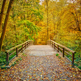 Bridge in autumn park
