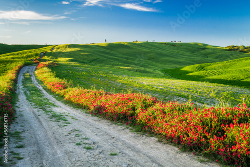 piekny-widok-zieleni-pola-i-laki-przy-zmierzchem-w-tuscany