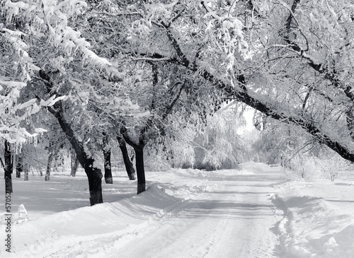 Winter park, scenery