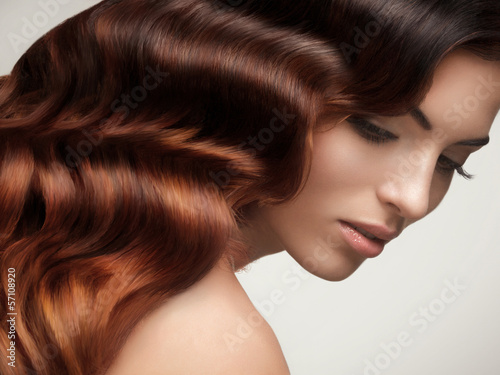 Fototapeta Brown Hair. Beautiful Woman with Healthy Long Hair. 