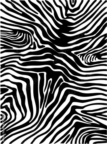 Fototapeta Zebra skin background