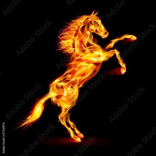 Fire horse rearing up.