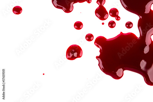 Fototapeta Halloween concept : Blood splatter on white background