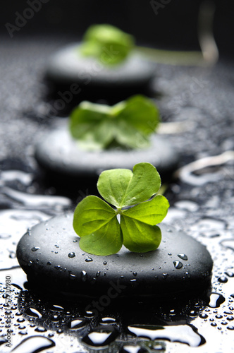 wet-zen-kamienie-z-wiosna-zielony-lisc