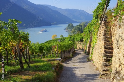 wachau-weinberg-winnica-wachau-15