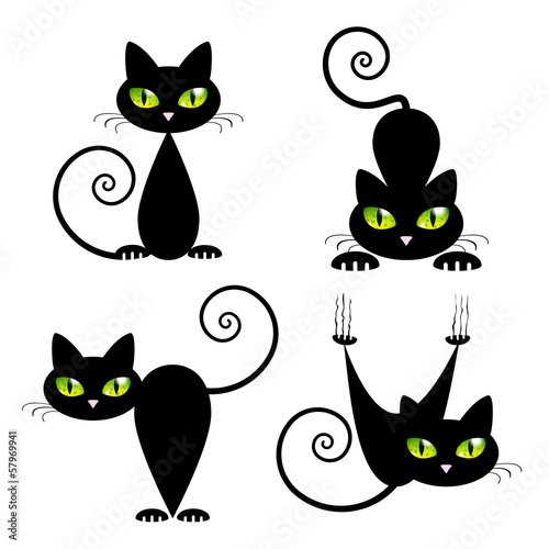 Fototapeta Black Cat with Green Eyes