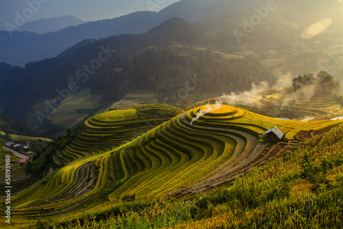 Fototapeta Terraced rice fields