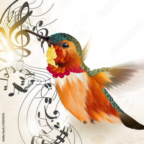 Fototapeta Music vector background with humming bird and notes